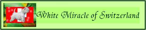 Banner: White Miracle of Switzerland