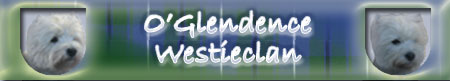 Banner: "O'Glendence" Westies