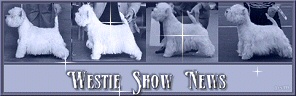 Banner: Westie Show News